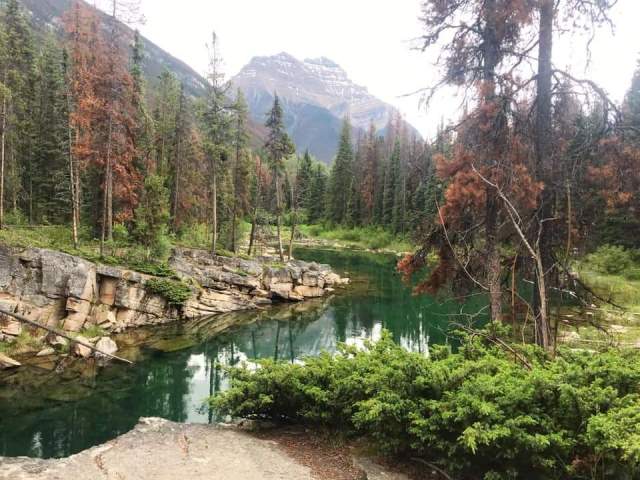 Horse Shoe Lake (from trail going left)