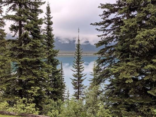 Emerald Lake view from Registration Centre