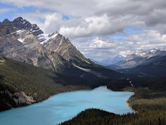 Peyto Lake (view from Viewpoint Deck)