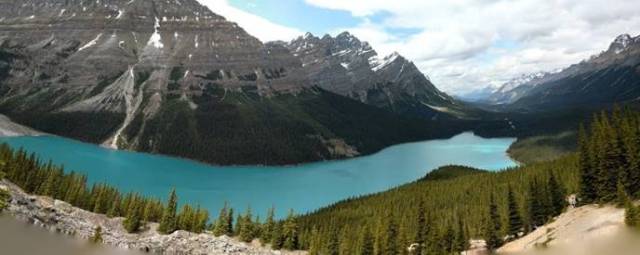 Peyto Lake Panoramic View (view from below the Viewpoint Deck)
