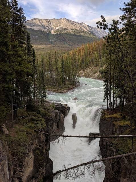 Sunwapta Falls