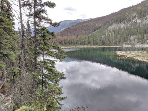 Horse Shoe Lake (from trail going left)