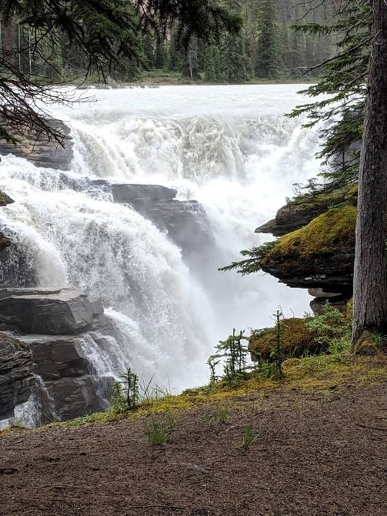 Athabasca Falls