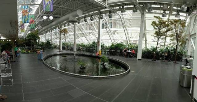 Greenhouse Garden with fishes in the pool